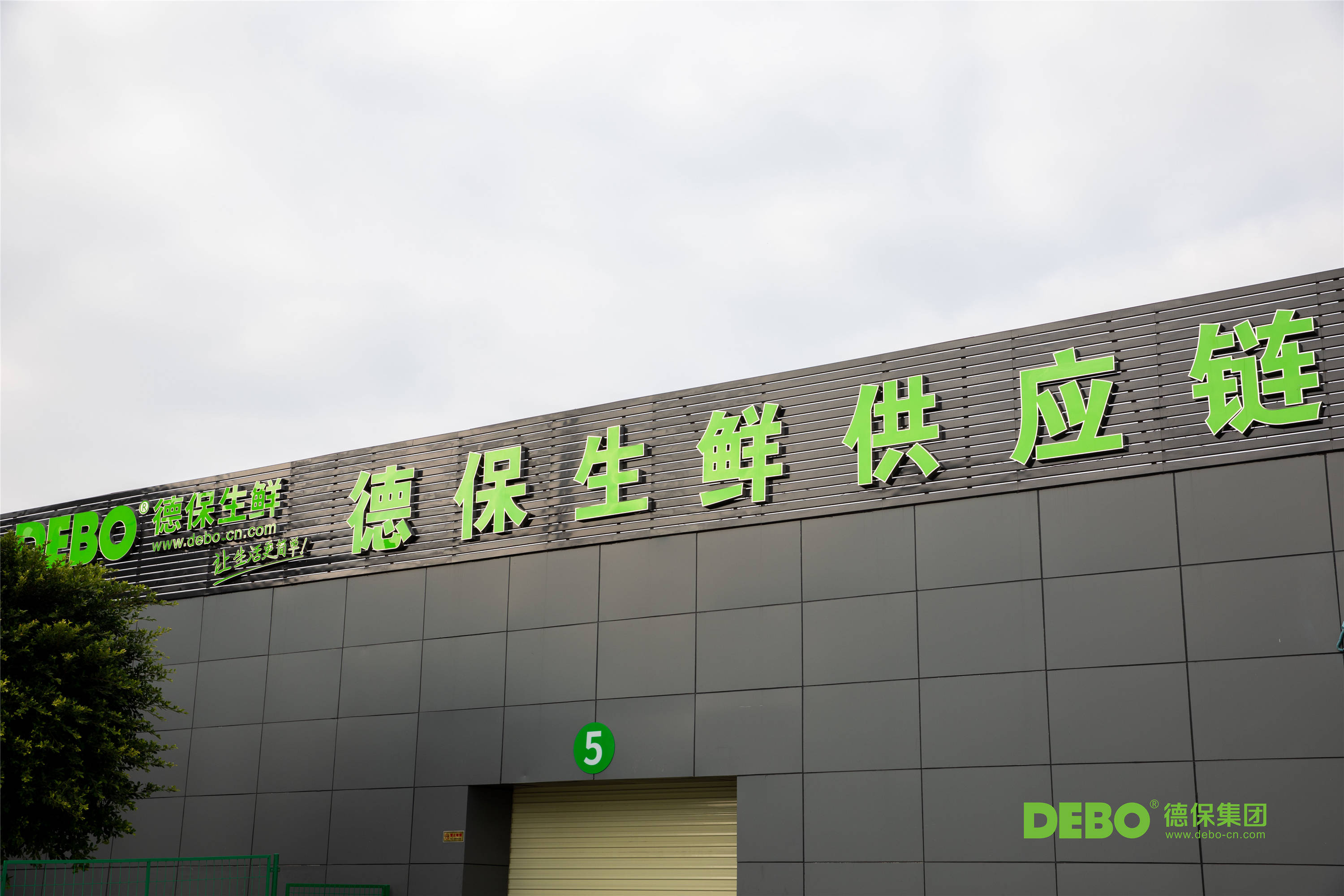 “从基地到餐桌” 德保集团如何用全产业链闭环重塑餐饮服务